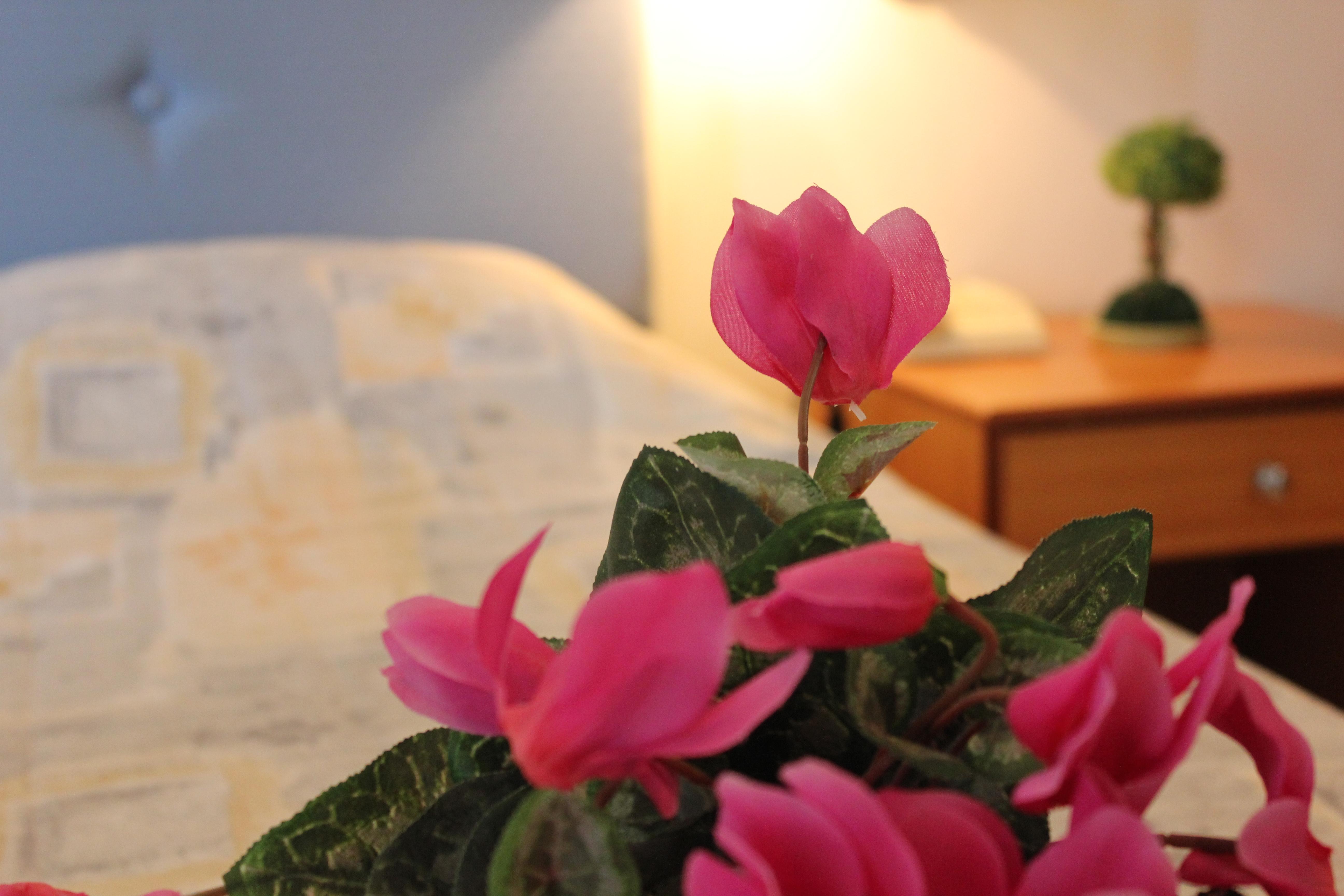 Filmar Hotel, Ixia, Rhodes Luaran gambar